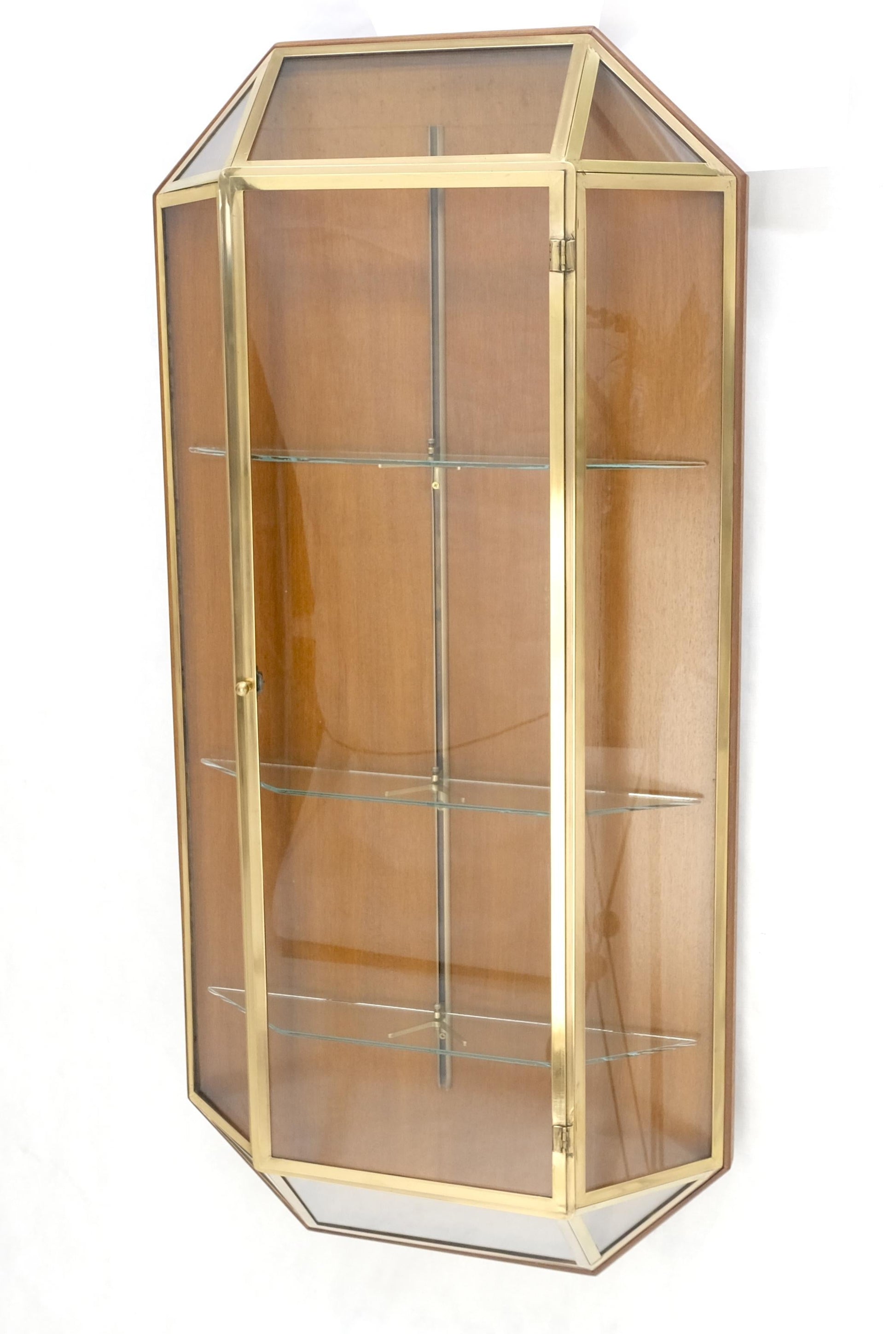 Brass Glass Hanging Single Door Wall "Picture" Hanging Showcase Display Shelves