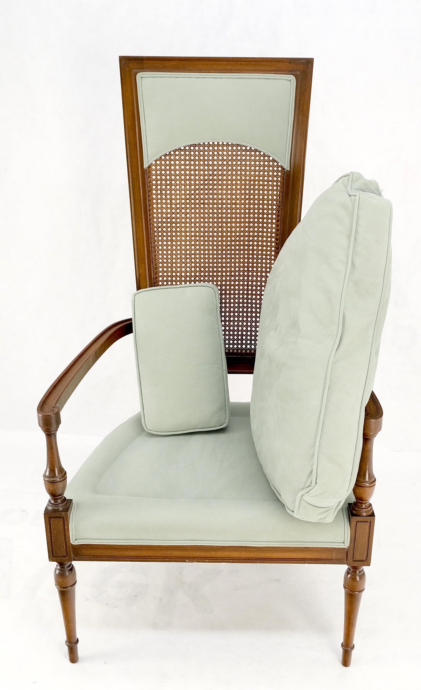 Tall Cane Back Down Filled Upholstery Seat Cushion Arm Chair Mint!