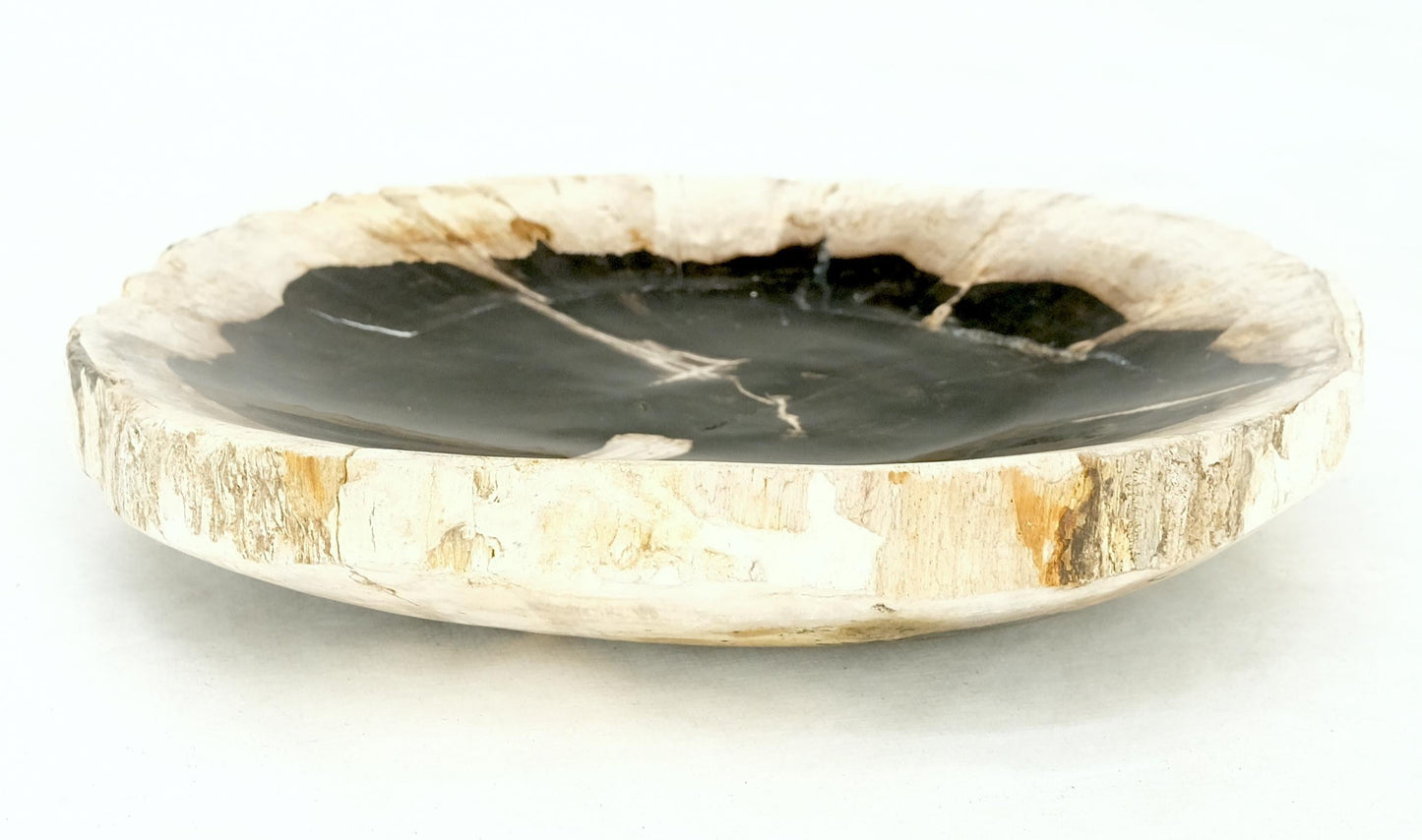 Petrified Wood Round Black & Beige Bowl Dish Large Plate