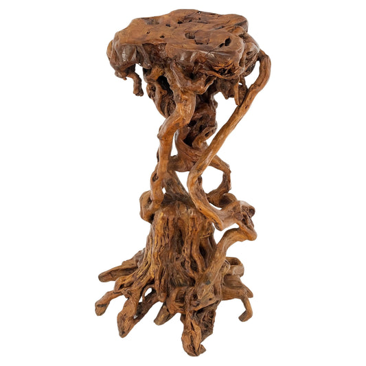 Varnished Driftwood Root Natural Organic Wood Pedestal Side End Table Stand Nice